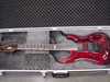 ESP HORION CUSTOM 1.jpg